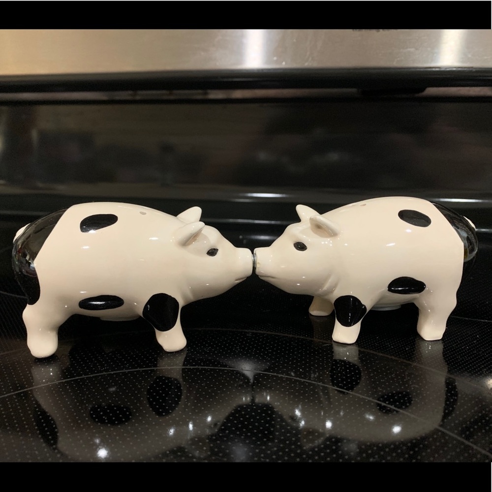 Magnetic pig salt & pepper shakers